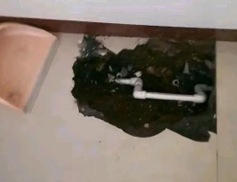 于都卫生间测漏水多少钱